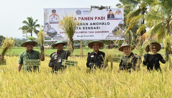 Hadiri Pesta Panen Kelompok Tani Samaendre, Pj Wali Kota Kendari: Semoga Tingkatkan Pendapatan Masyarakat