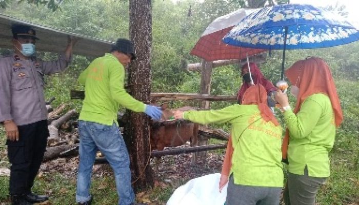 Pastikan Kelayakan Daging Kurban, Dinas Pertanian Kota Kendari Siapkan Tim Dokter Hewan