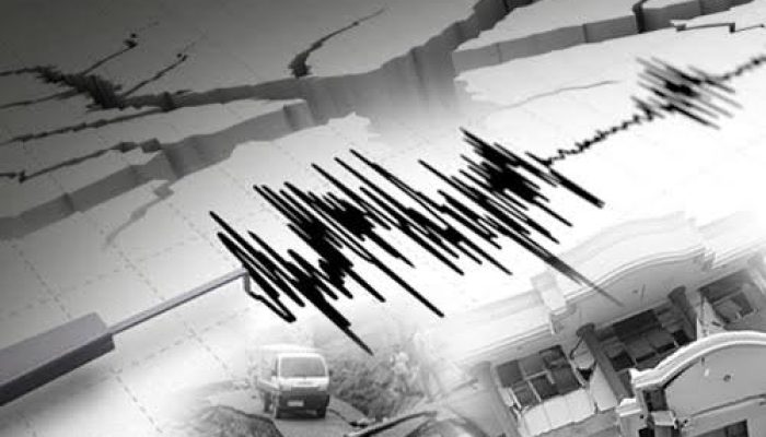 Gempa 4,5 SR Guncang Wiwirano Konut