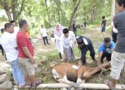 Pemkot Kendari Distribusikan 23 Hewan Kurban