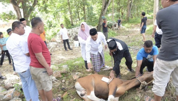 Pemkot Kendari Distribusikan 23 Hewan Kurban