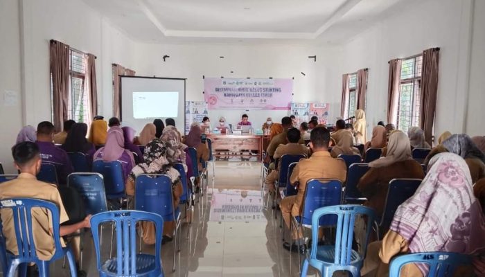 Pemkab Koltim Diseminasi Audit Kasus Stunting