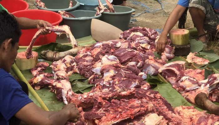 5 Cara Menyimpan Daging Kurban di Kulkas Agar Tahan Lama dan Tetap Segar