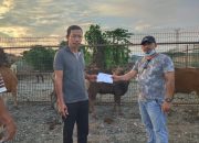 VDNI dan OSS Mulai Salurkan Kewan Kurban di Wilayah Lingkar Tambang
