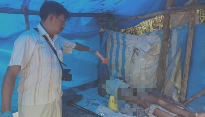 Usai Berhubungan Badan dalam Gubuk, Kakek 75 Tahun di Kendari Ditemukan Meregang Nyawa