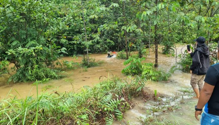 Satgas Yonif 725/Woroagi Selamatkan Pelajar yang Terbawa Arus Banjir di Papua Selatan