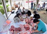 Idul Adha 1444 H, Pemkot Kendari Sembelih 23 Ekor Hewan Kurban