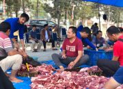 Idul Adha 1444 H, Inspektorat Kota Kendari Sembelih 10 Ekor Sapi Kurban