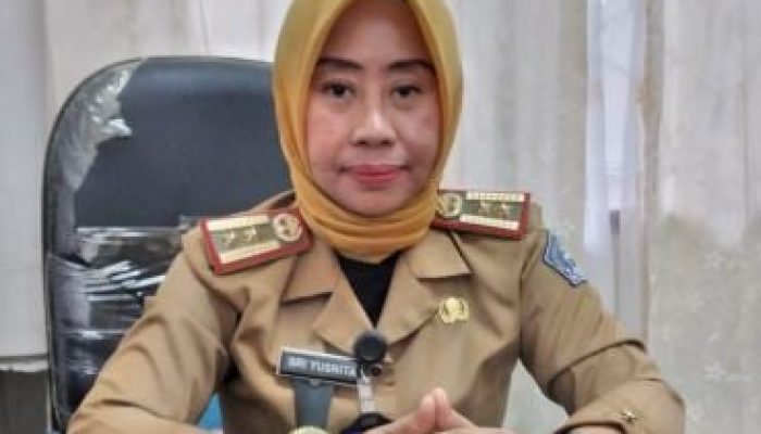 Pemerintah Kota Kendari Bakal Launching Aplikasi Srikandi, Ini Kegunaannya