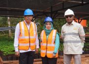 Kepala DLHK Sebut Belum Kerusakan Lingkungan Akibat Aktivitas Tambang di Pulau Wawonii