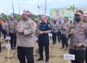 Polda Sultra Tanam 20 Ribu Bibit Mangrove di Kawasan Teluk Kendari