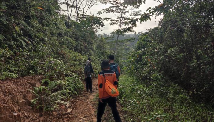 Seorang Pria Hilang Misterius di Kebun Sagu Konawe Selatan