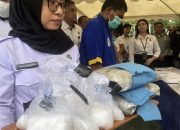 BNNP Sultra Musnahkan 3,8 KG Sabu dan Ganja, Hasil Tangkapan Periode Juli-Agustus