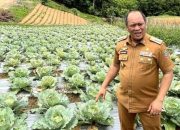 Sukses Kendalikan Inflasi, Pemkab Konut Dapat Insentif Fiskal Rp 9 Miliar dari Pemerintah Pusat
