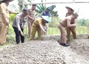 0,5 Hektare Lahan Kelompok Tani Amatono Hasilkan 3,6 Ton Bawang Merah