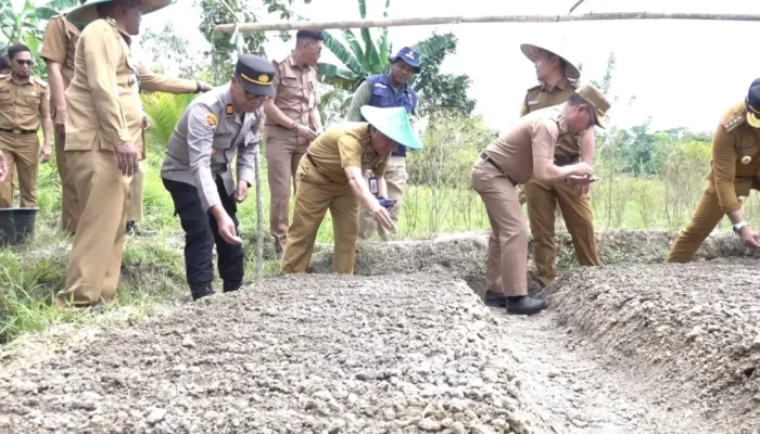 0,5 Hektare Lahan Kelompok Tani Amatono Hasilkan 3,6 Ton Bawang Merah