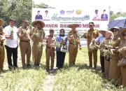 Sekda Kota Kendari Lakukan Panen Raya Bawang Merah di Kelurahan Labibia
