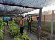 Serius Dalam Reklamasi Lahan Bekas Tambang, ANTAM UBPN Konawe Utara Akan Menggandeng IPB dan UHO