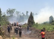 Polisi dan Damkar Kendari Berjibaku Padamkan Kebakaran Lahan di Poasia