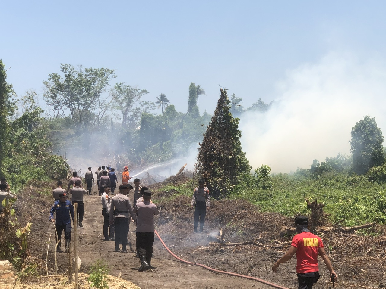 Polisi Dan Damkar Kendari Berjibaku Padamkan Kebakaran Lahan Di Poasia 0431