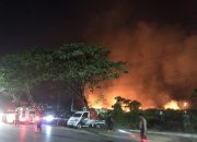 Breaking News : 5 Hektar Rawa Kering di Lepo-Lepo Kendari Terbakar