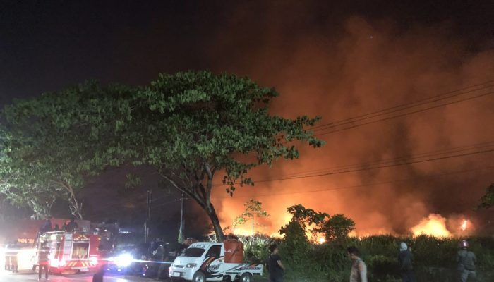 Breaking News : 5 Hektar Rawa Kering di Lepo-Lepo Kendari Terbakar