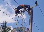 Petugas PLN di Kendari Tersengat Listrik saat Lakukan Pemeliharaan Kabel