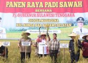 Panen Raya Padi Sawah di Konsel, Ini Pesan Pj Gubernur Sultra