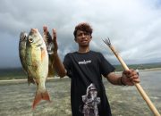 Kegiatan Tombak Ikan, Daya Tarik Wisata Desa Wasuemba