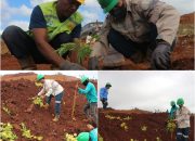 PT GKP Lakukan Reklamasi dan Rehabilitasi Lahan, DLH Konkep: Memang Sebuah Kewajiban