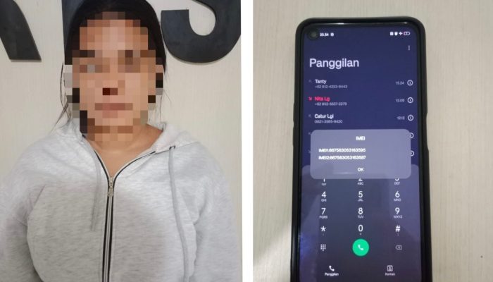 Terima Handphone Hasil Curian dari Suami, Ibu Muda di Kendari Diamankan Polisi