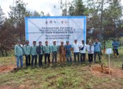 PT Vale Rehabilitasi DAS di Tana Toraja, Tanam 424 Ribu Bibit Pohon