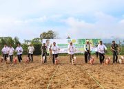 Mentan RI Didampingi Sekda Sultra Lakukan Penanaman Jagung di Konawe Utara 