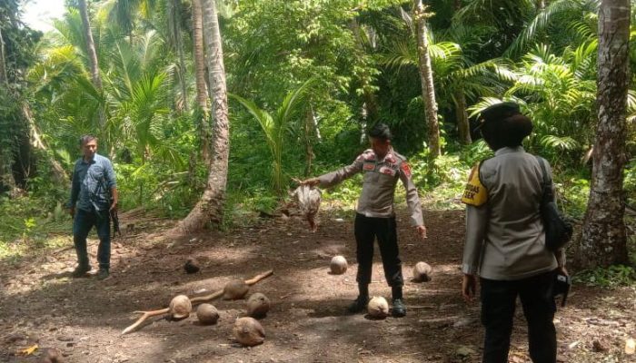 Polisi Bubarkan Judi Sabung Ayam di Desa Maleko Wakatobi