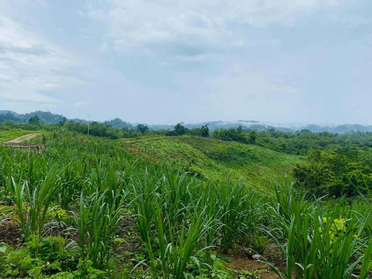 UPTD Padang Pengembalaan Anduna Kecamatan Wolasi, Kabupaten Konawe Selatan, Sulawesi Tenggara