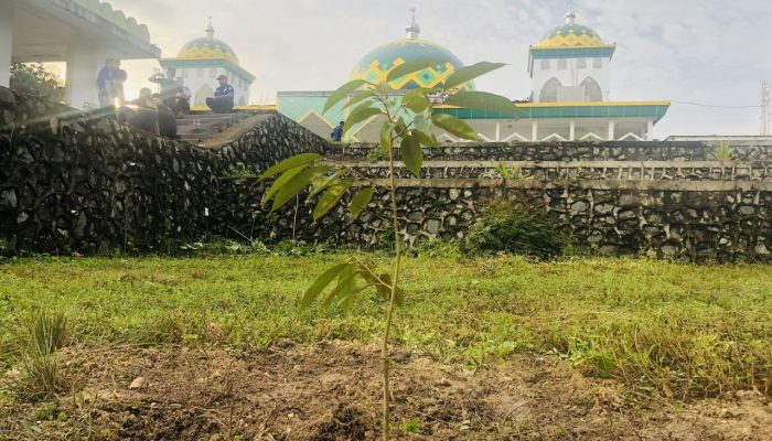 Peringati Hari Lingkungan Hidup, Yayasan Batundu Lestari Indonesia Bersama Pemda Konsel Tanam Puluhan Bibit Pohon