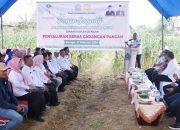 Pj Wali Kota Kendari Lakukan Panen Jagung di Koptan Lapas Idaman Baruga
