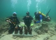 Mahasiswa KKN UGM yang didampingi penyelam saat menurunkan bioreeftek tempurung kelapa