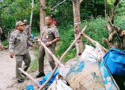 Bongkar Gubuk Tempat “Esek-Esek” Satpol PP Kendari Dapati 5 Pria bersama PSK