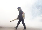 Kembali Lakukan Fogging untuk Cegah DBD, FPRB Sultra Sasar Kelurahan Korumba