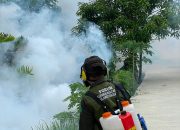 Cegah Penyebaran Penyakit DBD, FPRB Sultra Lakukan Fogging di Kelurahan Lalolara