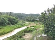 Proses Pencarian Supriadi Warga Desa Sumber Sari, Kecamatan Moramo, Kabupaten Konawe Selatan, Sulawesi Tenggara yang hilang misterius di Hutan