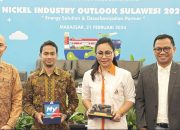 Sekretaris Asosiasi Penambang Nikel Indonesia Meidy Katrin Lengkey