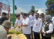 Mulai Menanam Langsung Hingga Panen, Suport Pj Gubernur Terhadap Gerakan Ketahahan Pangan Siswa di Sultra