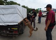 6 Anjing K9 Bantu Lacak Peredaran Narkoba di Pelabuhan Bakauheni