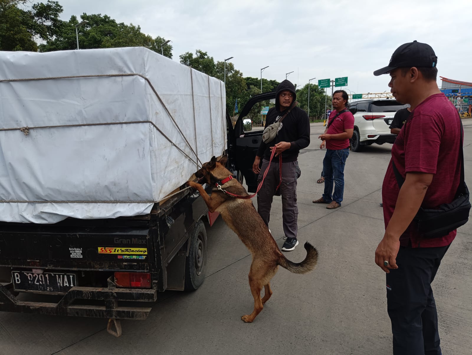 Anjing K9 Bantu Lacak Peredaran Narkoba di Pelabuhan Bakauheni