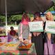 Relawan DDV Sultra dalam aksi sosial peringatan Milad 11 tahun