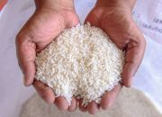 Pemprov Sultra Bantah Adanya Kenaikan Harga Beras di Wakatobi Capai Rp 1 Juta Per 50 Kg