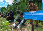 PT Vale Donasi 5.000 Bibit Pohon di Kawasan wisata Rammang-rammang