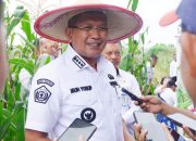 Pemkot Kendari Dorong Warga Olah Lahan Tidur Jadi Pertanian Produktif